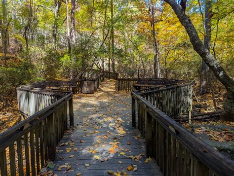 Talmadge Butler Boardwalk Desoto State Park Huntsville Adventurer