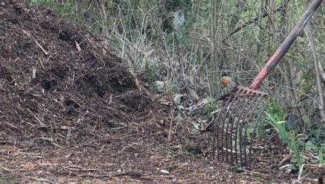 Le Broyat De Bois Au Jardin Le Jardin Qui Se Mange