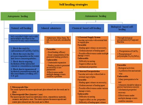 Materials Used In Self Healing Concrete at Ruby Godfrey blog