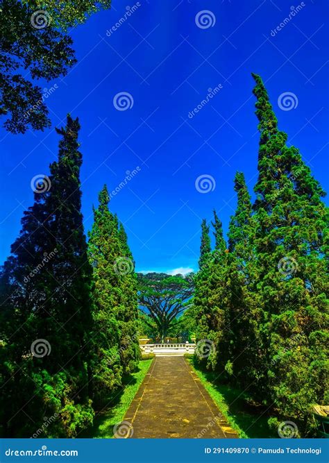 Critics explain the enduring screen presence of jack betts 27