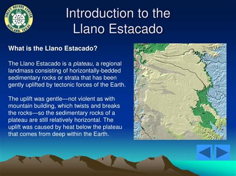 Ppt Habitats Of The Llano Estacado Powerpoint Presentation Id5659