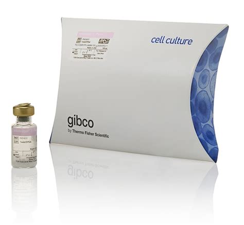 Gibco Human Ifn Gamma Recombinant Protein 100ugrecombinant Proteins