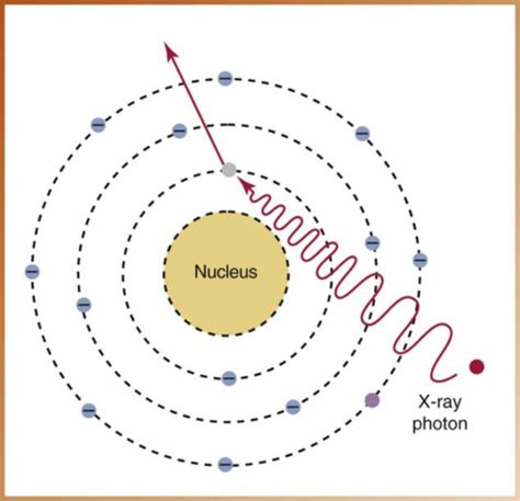 Radiation Physics Flashcards Quizlet