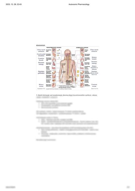 SOLUTION Autonomic Pharmacology Studypool