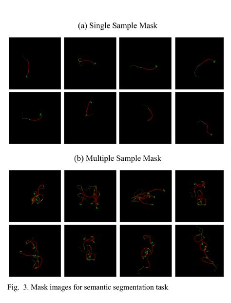 head length  body length  body thickness  tail length
