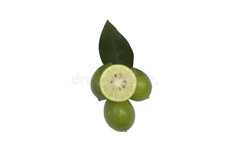 Fresh Green Lemon Slice Pieces With Leaves Isolated On A White