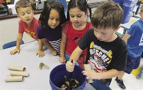 Coles Elementary students launch school-wide composting program ...