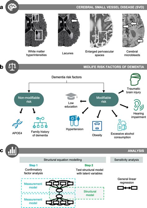 Overview Of Methodology A Cerebral Small Vessel Disease Svd Was