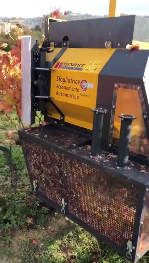 Als 2020 Leaf Picker Automatic Leafpicking And Storage 2020 Tecnovict