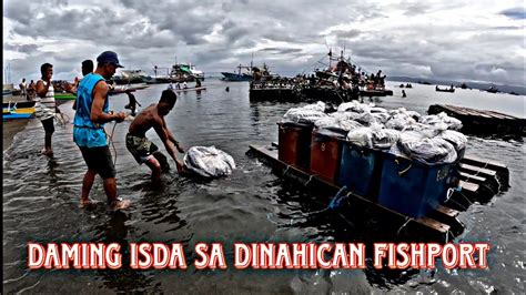 Sabay Sabay Nagdatingan Mga Bangkang Galing Pacfic Ocean Sa Dinahican