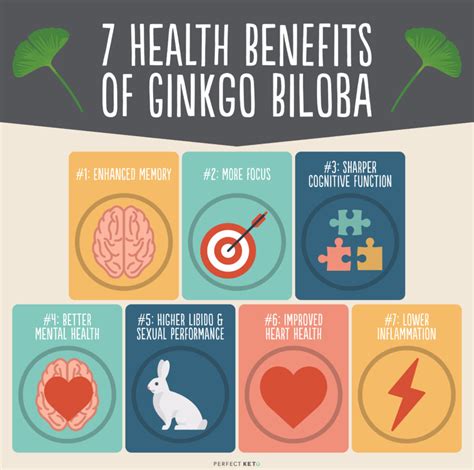 Ginkgo Biloba How It Can Give You Clarity And Focus Perfect Keto