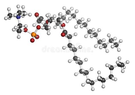 Molécule Tensioactif Pulmonaire Structure Chimique De Dppc De