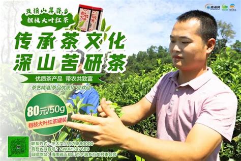 「真吾鄉系列3」傳承茶文化 深山苦研茶 探尋一杯香茶背後的故事 每日頭條