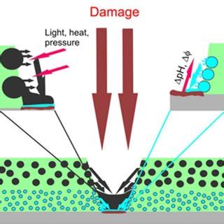 Schematic Representation Of Nanocontainer Based Self Healing Coatings