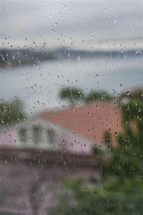 Rain Drops On Window Pane Stock Photo Image Of Drops 97288636