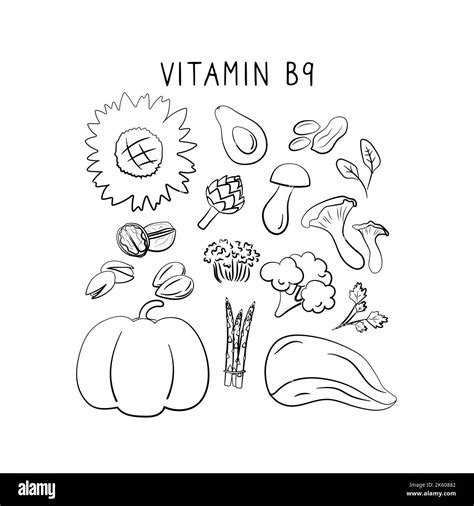 Is Folic Acid Vitamin B 9 at Arthur Dwyer blog