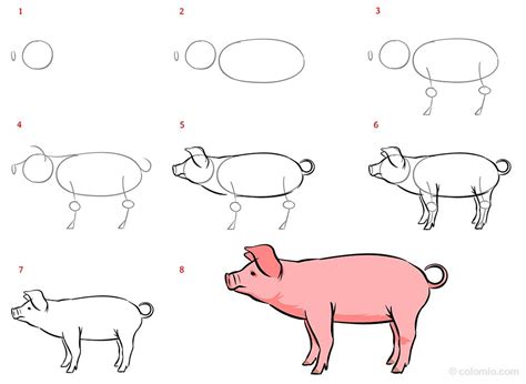 How To Draw A Pig For Kids