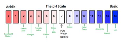 Neutralization Reaction Definition Equation And Examples Lesson