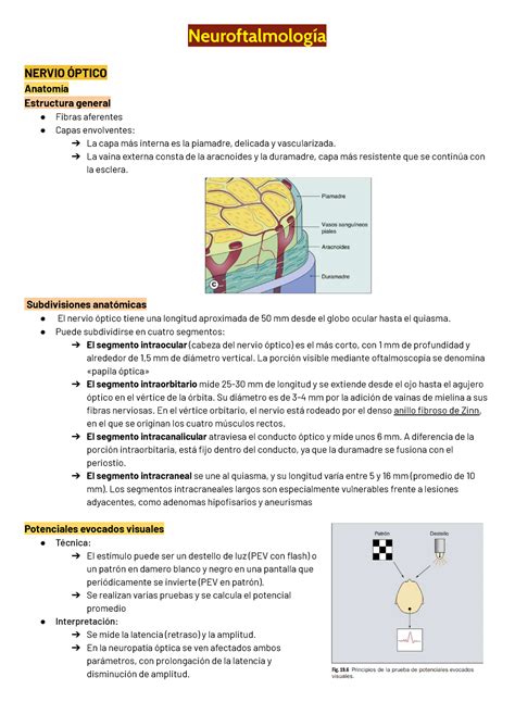 Neuroftalmolog A Resumen Completo De Neurooftalmo Neuroftalmolog A