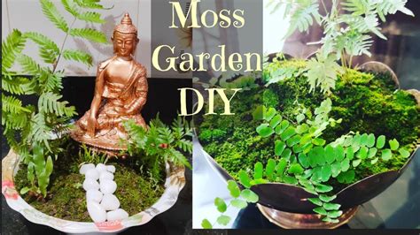 Diy Moss Garden How To Make Indoor Moss Garden Miniature Zen Garden