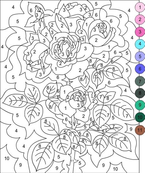 Flowers Color by Numbers for Adult