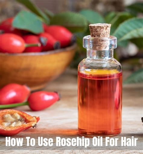 How To Use Rosehip Oil For Hair The Apex Beauty