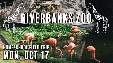 Homeschool Field Trip To The Zoo Ekklesia Christian Church