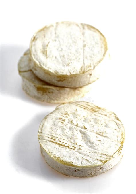 ROCAMADOUR stock image. Image of white, cheese, goat - 170719687