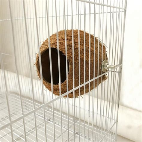 Magazine 1XNatural Coconut Shell Bird Nest House Hut Cage Feeder Pet