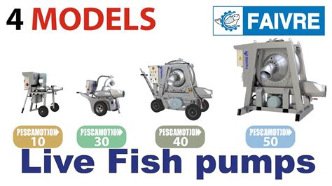 Stainless Steel Pescamotion Live Fish Pumps Range By Faivre YouTube