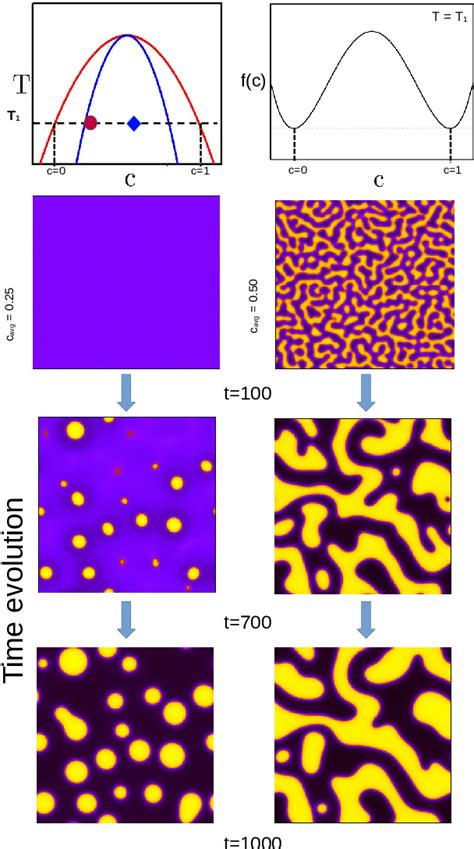 Figure 2 From Accelerating Microstructure Modelling Via Machine