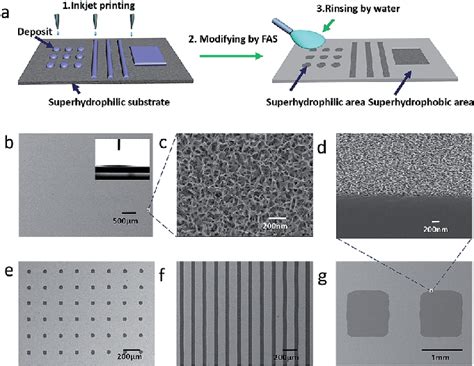 A Schematic Illustration Of Fabricating Process By Inkjet Printing