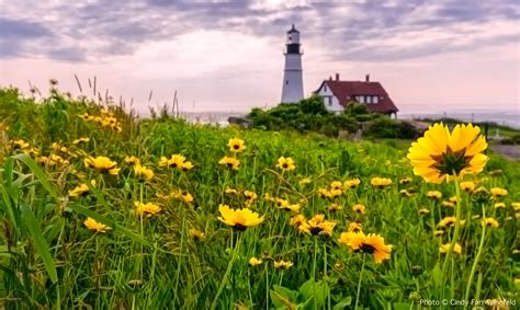 The Lighthouse - Portland Head Light and Fort Williams Park