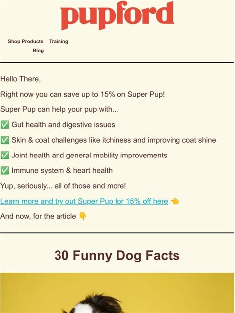 Pupford Llc Article 30 Funny Facts About Dogs 🐶 Milled