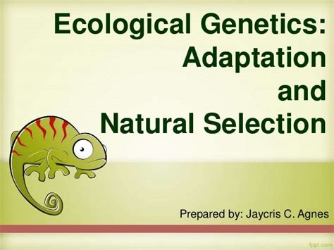 Ecological Genetics Adaptation And Natural Selection