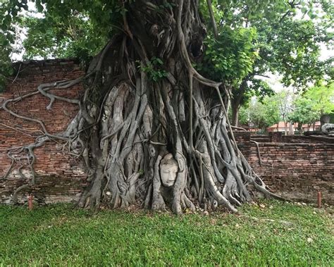 Historic City of Ayutthaya | World Heritage Sites