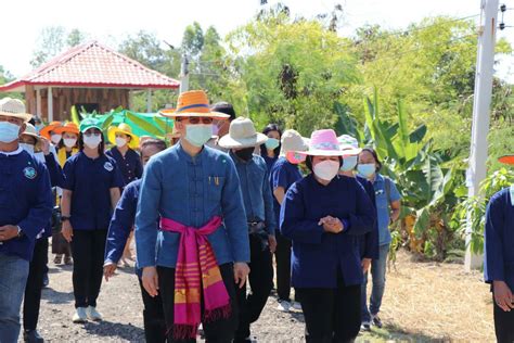 วัดป่าดอนดู่ธรรมาราม ร่วมกับ พช จัดกิจกรรม “เอามื้อสามัคคีลงแขกเกี่ยว