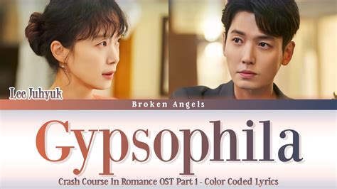 Lee Ju Hyuk Gypsophila Ost Crash Course In Romance Part Lyrics