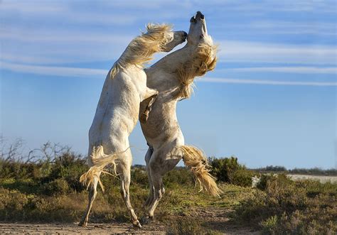 Super Fast Shutter Jim Zuckerman Photography Photo Tours