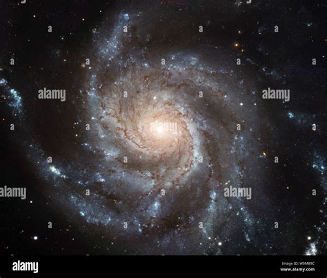 This New Hubble Image Reveals The Gigantic Pinwheel Galaxy One Of The