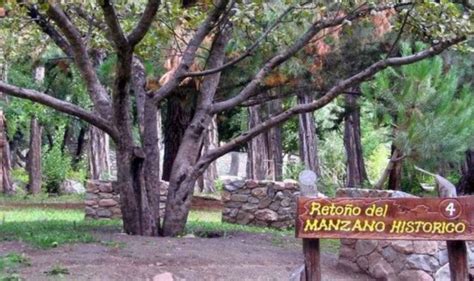 En Este Hist Rico Manzano Descans San Mart N Infoagro