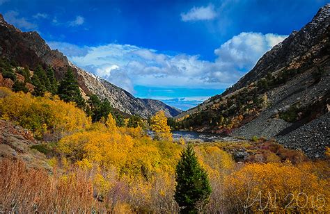 Postcard Mono County California Fall Color