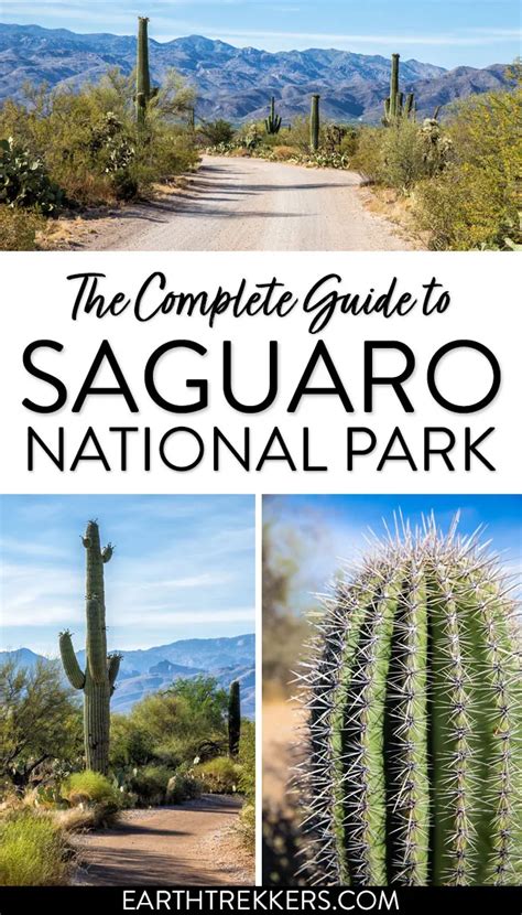 Amazing Things To Do In Saguaro National Park Arizona National