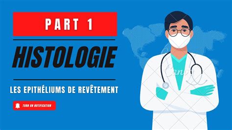 introduction les epithéliums de revêtement Histologie 1ère medecine