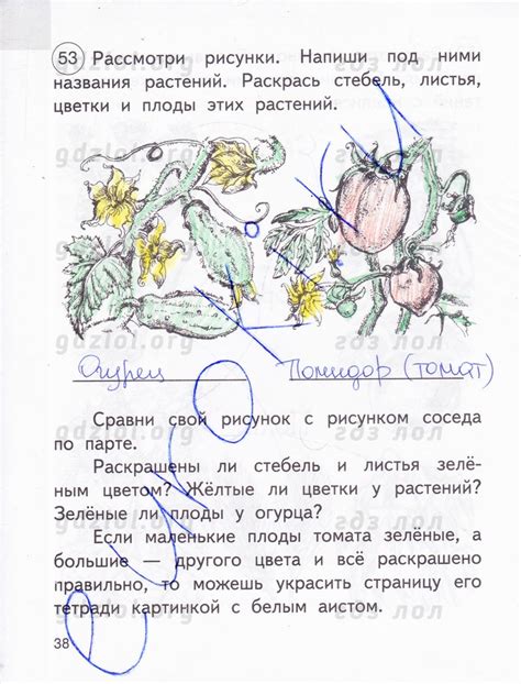 Окружающий мир 1 класс ответы федотова: ГДЗ рабочая тетрадь по ...