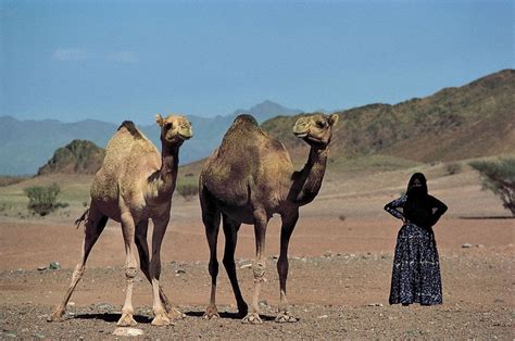 Arabian Desert Sand Rocks Climate Britannica