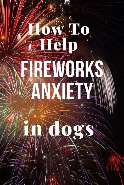 Fireworks Anxiety In Dogs Artofit