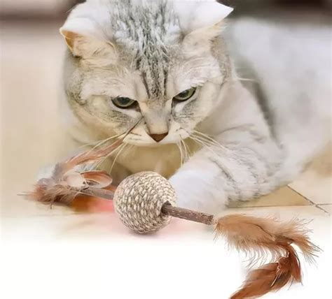 Brinquedo Para Gatos Bolinha Pena Sisal Interativa Matatabi Mercadolivre