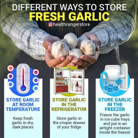 Different Ways To Store Fresh Garlic How To Store Garlic
