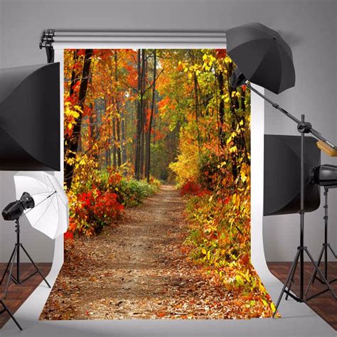 1 5X2 1M Herfst Herfst Bos Vinyl Achtergrond Achte Grandado